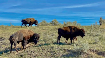 Accounts Receivables Funding Solutions In North Dakota - 2025