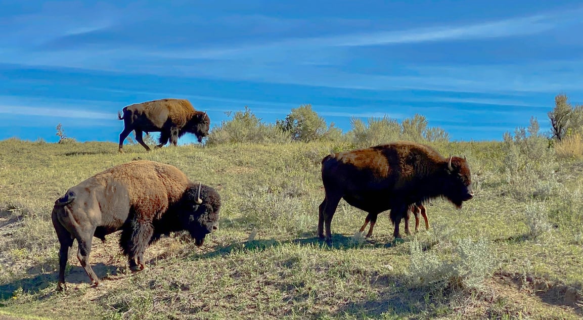Accounts Receivables Funding Solutions In North Dakota - 2025