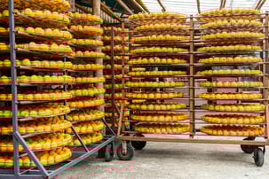 Best B2B Payment Platforms for Food Processing Equipment Manufacturing