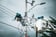 How Electrical Supply Companies Offer Net 60 Without Killing Cash Flow