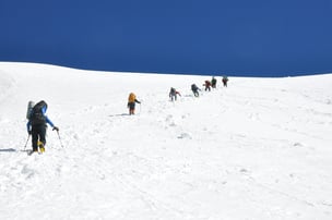 InterNex Capital Alternatives: Modern B2B Net Terms Solutions