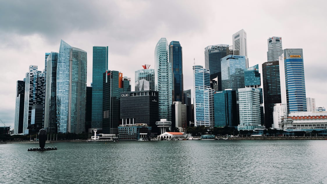 Parafin Reviews 2026: Terms and Alternatives