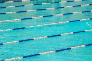 Pool Corp Payment Terms: How They Work and How to Offer Them