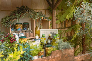 Graza Wholesale: How a DTC Olive Oil Brand Manages Retail Payment Terms