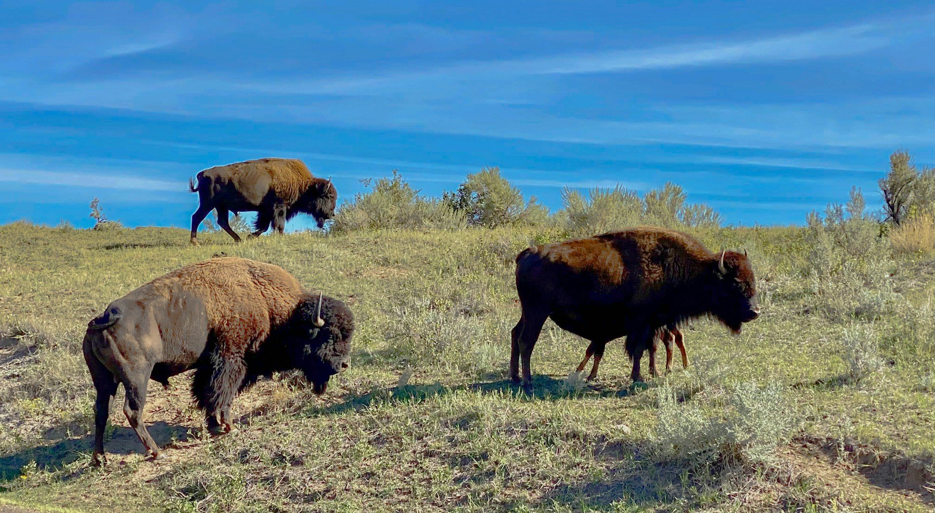 Accounts Receivables Funding Solutions In North Dakota - 2025