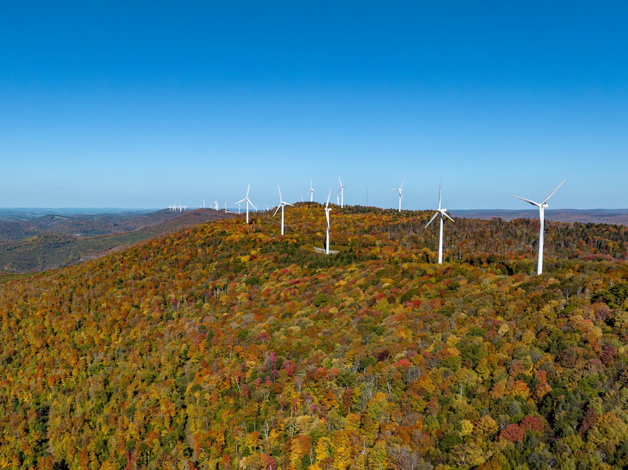 List Of Supply Chain Events In West Virginia