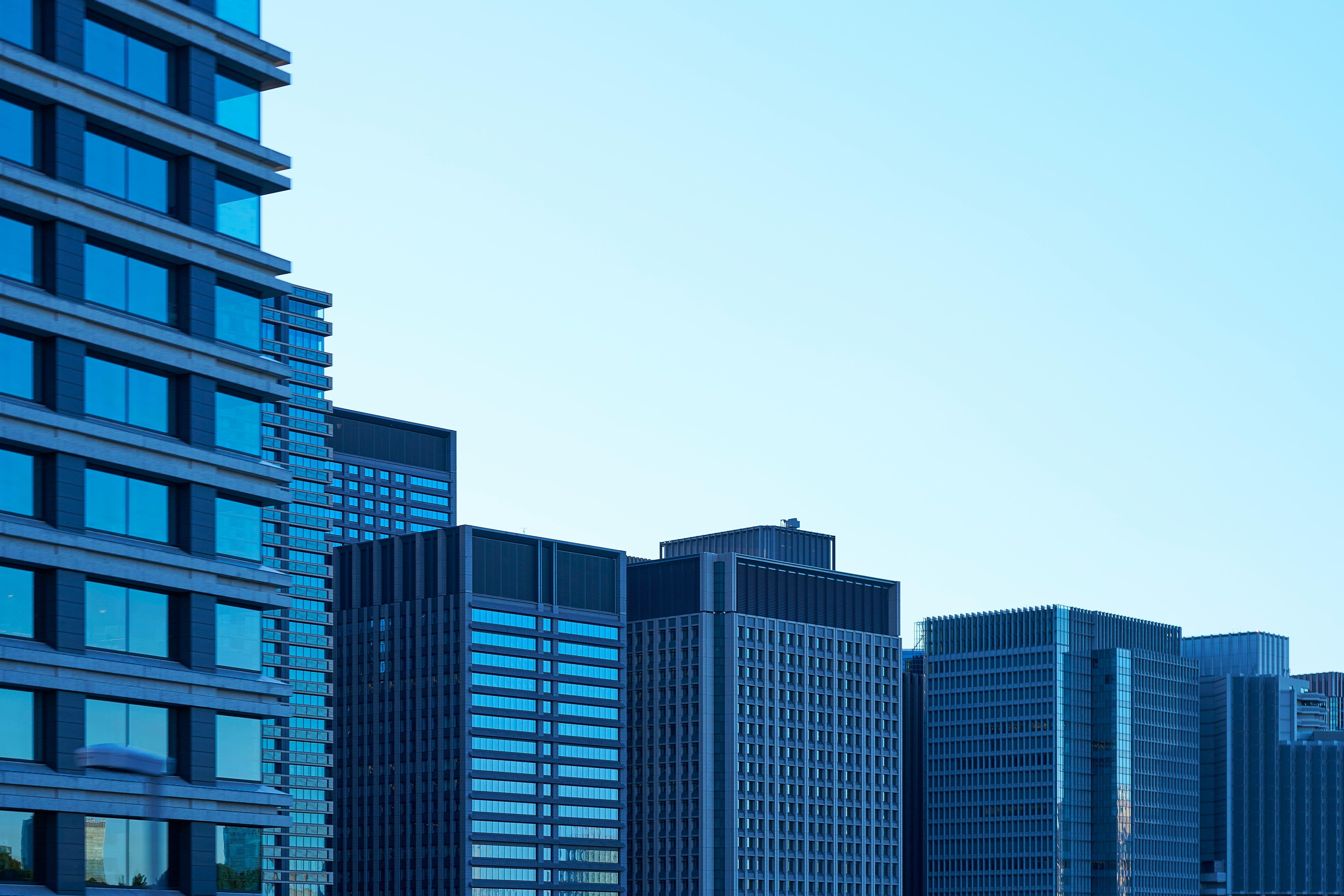 TreviPay vs Driven: Choosing the Right B2B Payment Solution for Your Business