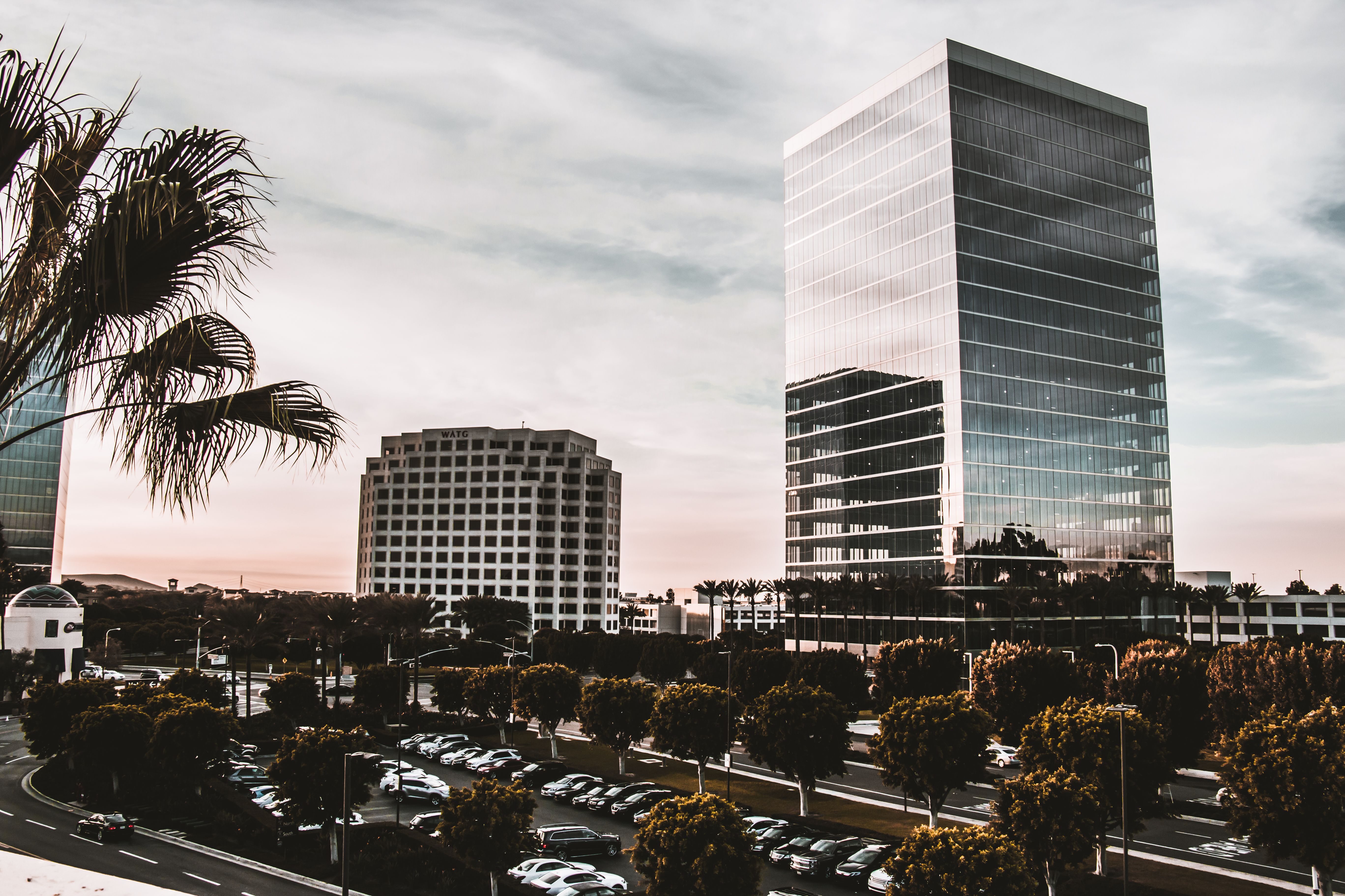 Resolve Pay vs Melio vs Payability